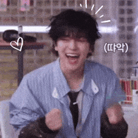 Stray Kids Skz GIF