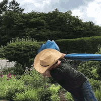 josephfontinha joseph fontinha tugging blue tarp project josephfontinha GIF