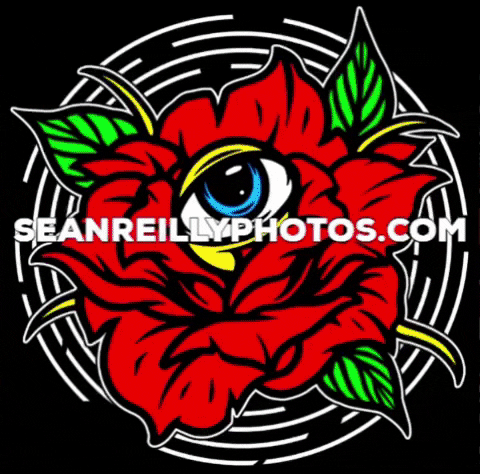 seanreillyphotos rose photography eye baltimore GIF