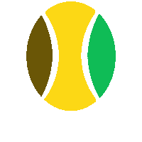 Wheelchair Tennis Sticker by CPSport
