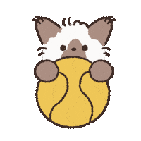 Cats Ok Sticker by koimoffee