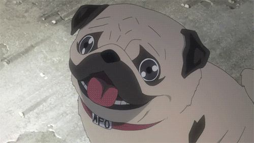 Anime gif. Pug stares directly into a beam of light as the radiating energy engulfs it in a white glow and almost blows it away.