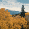 Fall Autumn GIF by Nature on PBS