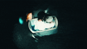Travis Barker GIF by jxdn