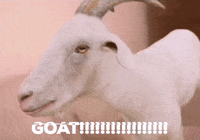 subskile  GIF