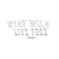 Harley Davidson Travel Sticker by Concrete Surfers Motorcycle Dudes - CSMD