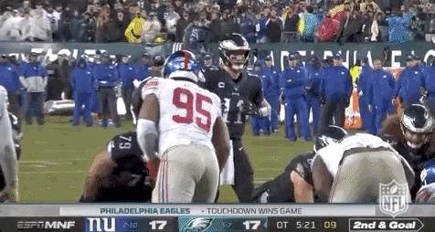 2019 Nfl Football GIF by NFL