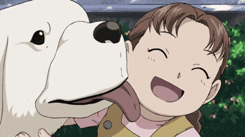 Shocked Fullmetal Alchemist GIF