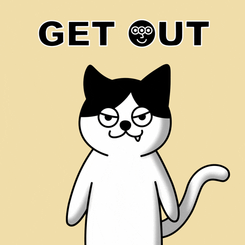 Angry Get Out GIF by Moca Network