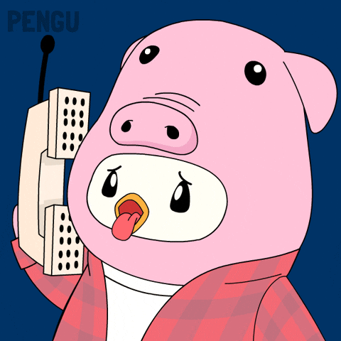 Whats Up Hello GIF by Pudgy Penguins