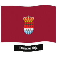 Castilla Y Leon Flag Sticker by Formación Ninja