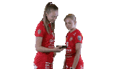 Sport Floorball Sticker by F-liiga