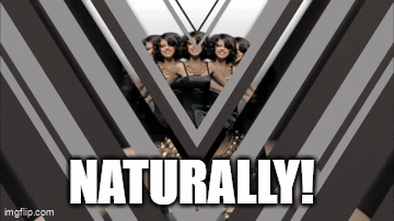 TalentlessFool giphyupload GIF