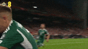 West Ham Celebration GIF by Northern Ireland
