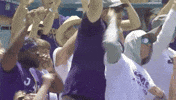 Fan GIF by JMUDukes