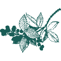 peachstatepride green fruit clothing menswear Sticker