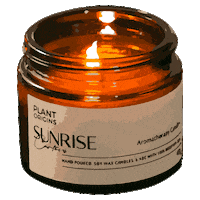 Candle Sunrise Sticker by signaturemarket