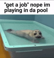 Seal Swimming GIF