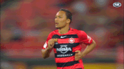 wswanderersfc reaction football wanderers western sydney wanderers GIF