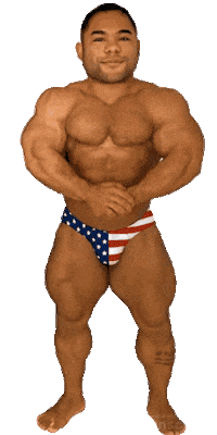 American Usa Sticker by Database數據