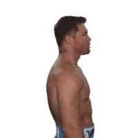 Canelo Alvarez Sport Sticker by SHOWTIME Sports