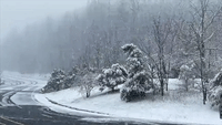 Wintry Weather in Shenandoah National Park Closes Road
