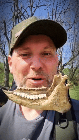 Happy Big Smile GIF by Crazy Detectors