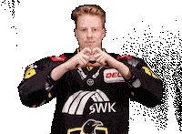 Del2 Kev Sticker by Krefeld Pinguine