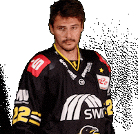 Del2 Seidenstadt Sticker by Krefeld Pinguine