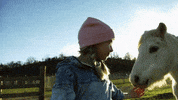 Country Music Horse GIF by Taylor Edwards
