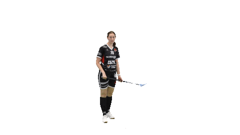 Floorball Salibandy Sticker by F-liiga
