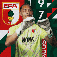 Daniel Catching GIF by FC Augsburg 1907