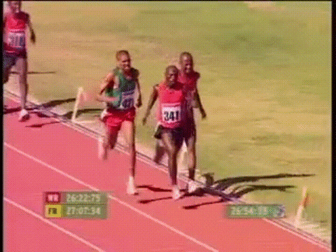 gold winner GIF