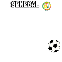 World Cup Football Sticker by Pudgy Penguins