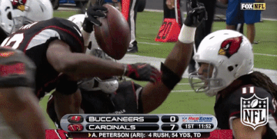 football GIF by NFL