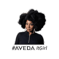 Avedaartist Sticker by Aveda Florida