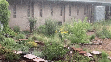 Flagstaff Garden Welcomes Monsoon Rain