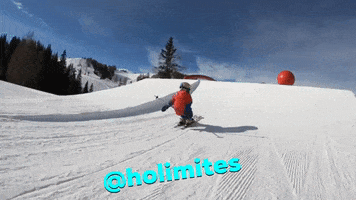 snow landing GIF by holimites
