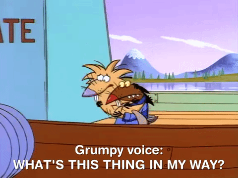 nickrewind giphydvr nicksplat angry beavers giphyab006 GIF