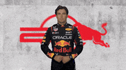 Red Bull Sport GIF by Oracle Red Bull Racing