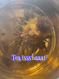 Travbeat tea GIF