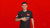 Bayer Leverkusen GIF by Bundesliga