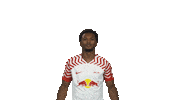 Celebrate Rb Leipzig Sticker by Bundesliga