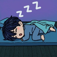 Sleep Bed GIF