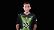 E Sports Sport GIF by VfL Wolfsburg