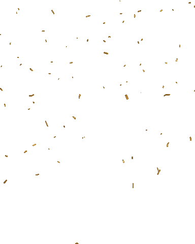 Gold Celebrate Sticker by Postcode Loterij