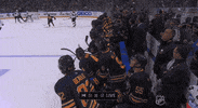 happy ice hockey GIF by NHL