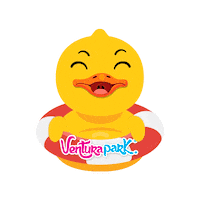 Riviera Maya Fun Sticker by VenturaPark Cancun