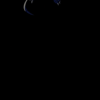 Flying Here I Am GIF by VeeFriends