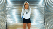 Toledo Volleyball GIF by Toledo Rockets